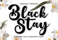 Black Stay Font - Featured Image