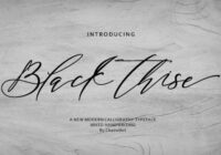 Black Thise Font - Featured Image