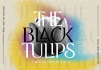 Black Tulip Font - Featured Image