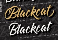 Blackcat Font - Featured Image