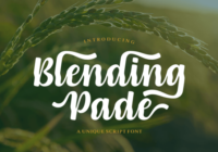 Blending Pade Font - Featured Image