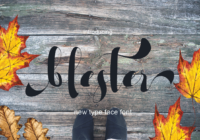 Blester Font - Featured Image