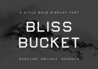 Bliss Bucket Family Font - Featured Image