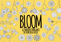 Bloom Font - Featured Image