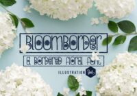 Bloomborder Font - Featured Image