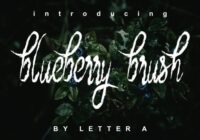 Blueberry Brush Font - Featured Image