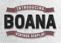 Boana Font - Featured Image