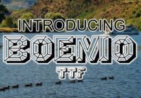 Boemo Font - Featured Image