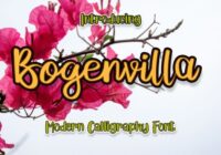 Bogenvilla Font - Featured Image