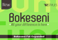 Bokeseni Expanded Fat Font - Featured Image