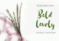 Bold Lovely Font - Featured Image