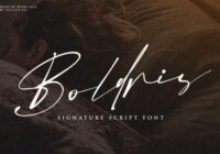 Boldris Font - Featured Image