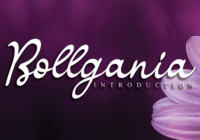 Bollgania Font - Featured Image