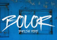 Bolor Font - Featured Image