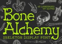 Bone Alchemy Font - Featured Image