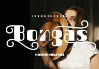 Bongas Font - Featured Image
