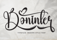 Boninter Font - Featured Image