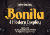 Bonita Font - Featured Image