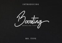 Boosting Font - Featured Image