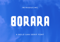 Borara Font - Featured Image