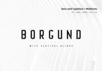 Borgund Font - Featured Image