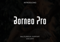 Borneo Pro Font - Featured Image