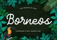 Borneos Font - Featured Image