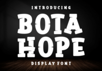 Bota Hope Font - Featured Image