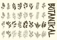 Botanikal Font - Featured Image