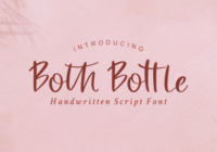 Both Bottle Font - Featured Image