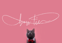 Bow Tie Font - Featured Image