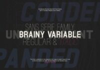 Brainy Variable Font - Featured Image