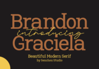 Brandon Graciela Font - Featured Image