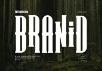 Branid Font - Featured Image