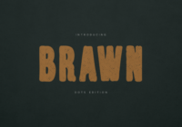 Brawn Dots Edition Font - Featured Image