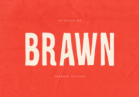 Brawn Font - Featured Image