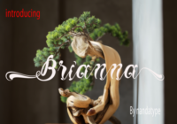 Brianna Font - Featured Image