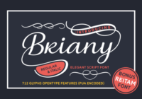 Briany Font - Featured Image