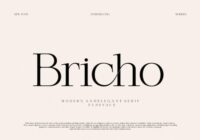 Bricho Font - Featured Image