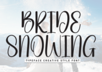Bride Snowing Font - Featured Image
