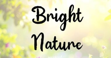 Bright Nature Font - Featured Image