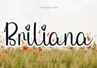 Briliana Font - Featured Image
