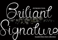 Briliant Signature Font - Featured Image