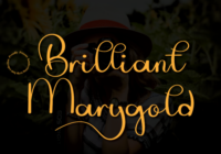 Brilliant Marygold Font - Featured Image