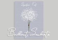 Brilliant Soulmate Font - Featured Image