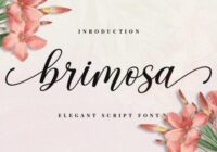 Brimosa Font - Featured Image