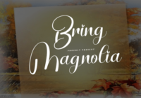 Bring Magnolia Font - Featured Image