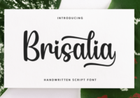 Brisalia Font - Featured Image