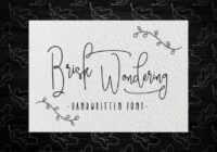 Brisk Wondering Font - Featured Image