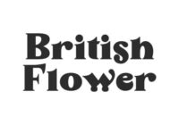 British Flower Font - Featured Image